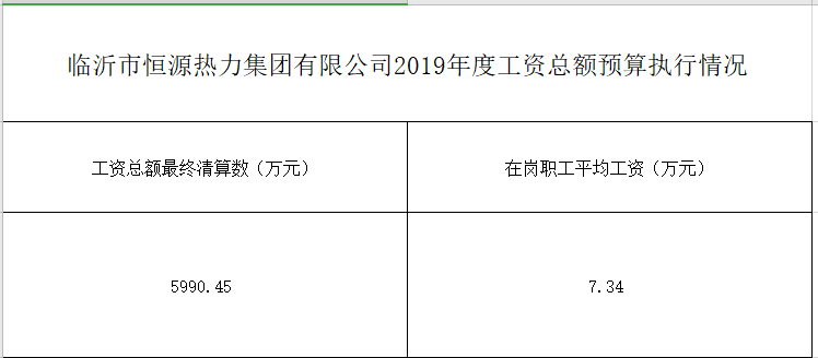 和记平台集团有限公司2019年度工资总额预算执行情况